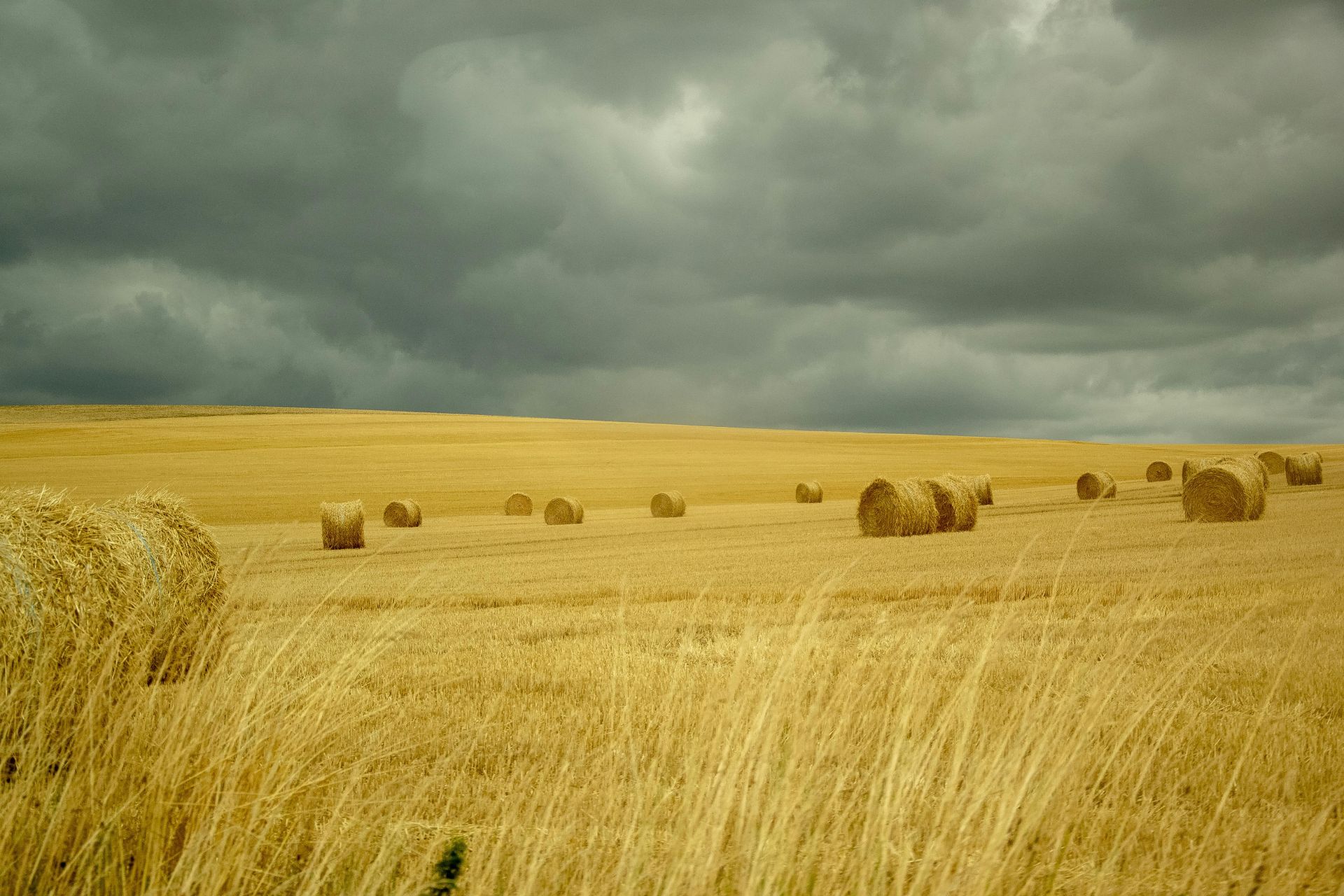 Brown Grass Field Under Cloudy Sky