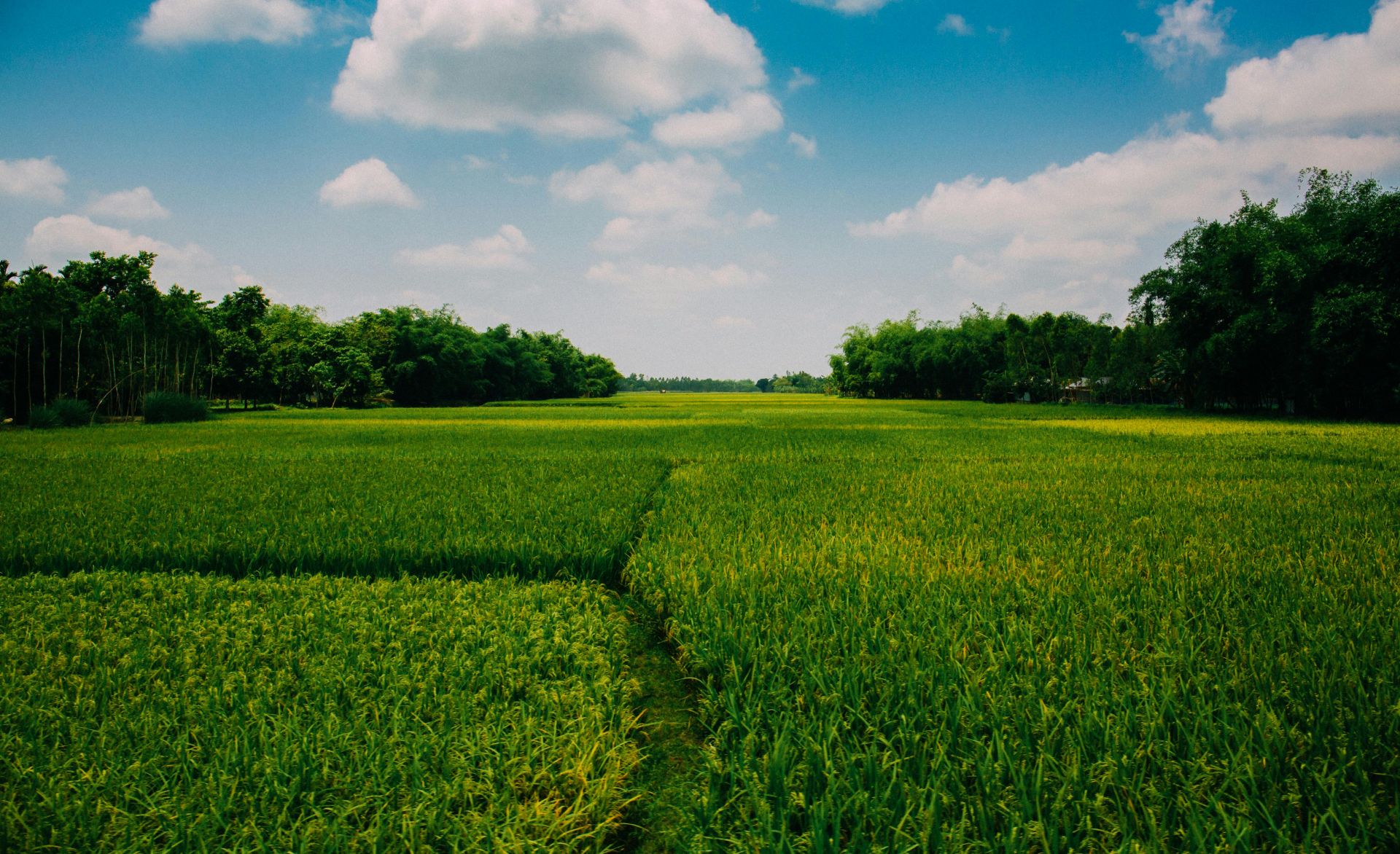 Photo Of Farmland During Daytime